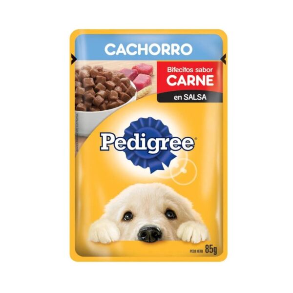 Pedigree pouch cach carne x85g