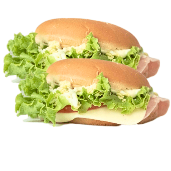 Sandwich hamburguesa completo x2