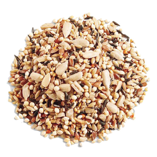 Zyma mix de semillas x 100 gramos