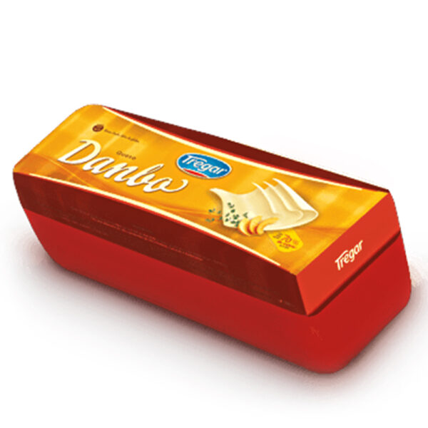 Tregar queso barra danbo x 100 gramos